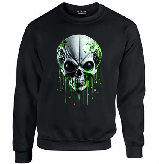 Obrazek Czaszka obcego