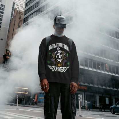 Obrazek Dalmatian Street